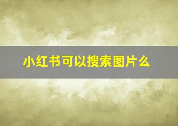 小红书可以搜索图片么