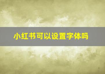 小红书可以设置字体吗