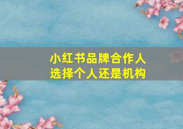 小红书品牌合作人选择个人还是机构