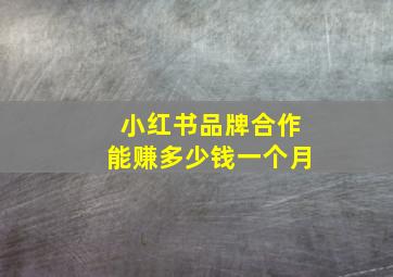 小红书品牌合作能赚多少钱一个月