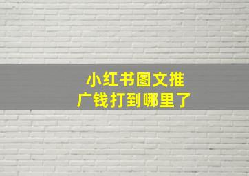 小红书图文推广钱打到哪里了