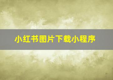 小红书图片下载小程序