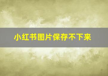 小红书图片保存不下来