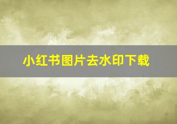 小红书图片去水印下载