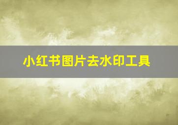 小红书图片去水印工具