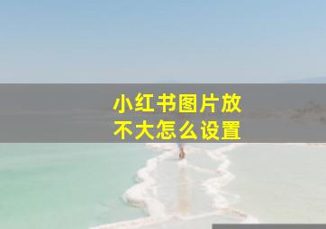 小红书图片放不大怎么设置