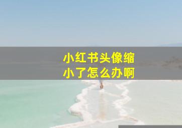 小红书头像缩小了怎么办啊