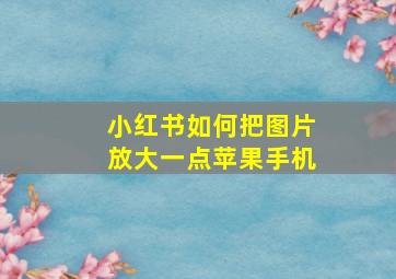 小红书如何把图片放大一点苹果手机