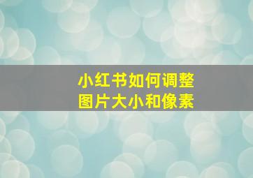 小红书如何调整图片大小和像素