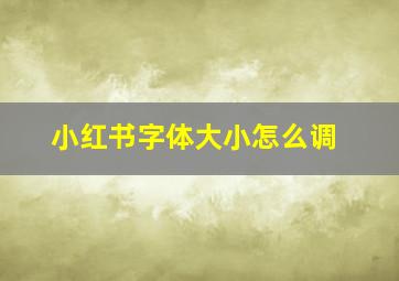 小红书字体大小怎么调