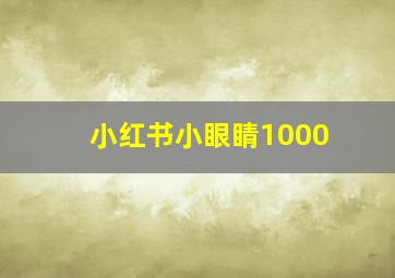 小红书小眼睛1000