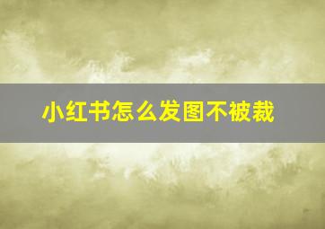 小红书怎么发图不被裁