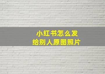 小红书怎么发给别人原图照片