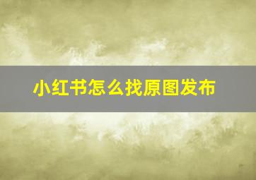 小红书怎么找原图发布