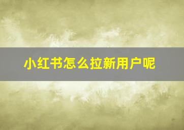 小红书怎么拉新用户呢