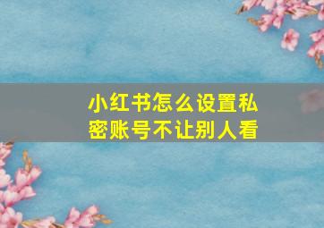 小红书怎么设置私密账号不让别人看