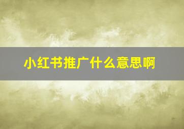 小红书推广什么意思啊