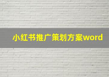 小红书推广策划方案word