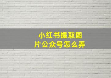 小红书提取图片公众号怎么弄