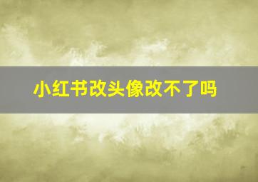 小红书改头像改不了吗