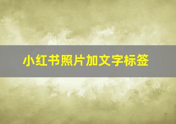 小红书照片加文字标签