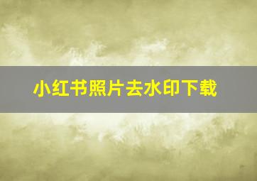 小红书照片去水印下载