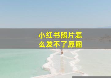 小红书照片怎么发不了原图