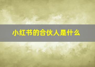 小红书的合伙人是什么