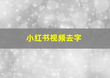 小红书视频去字