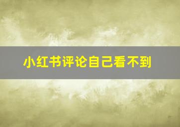 小红书评论自己看不到