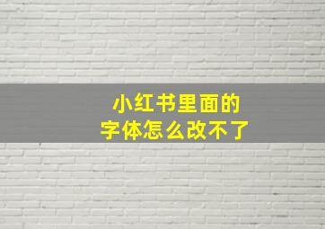 小红书里面的字体怎么改不了