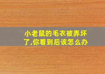 小老鼠的毛衣被弄坏了,你看到后该怎么办