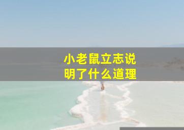 小老鼠立志说明了什么道理