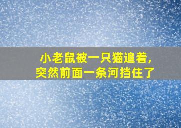 小老鼠被一只猫追着,突然前面一条河挡住了