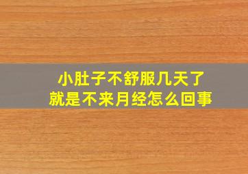 小肚子不舒服几天了就是不来月经怎么回事