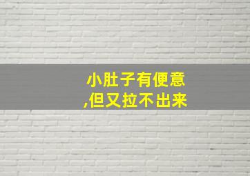 小肚子有便意,但又拉不出来