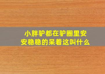 小胖驴都在驴圈里安安稳稳的呆着这叫什么