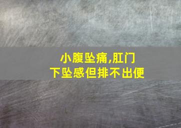 小腹坠痛,肛门下坠感但排不出便