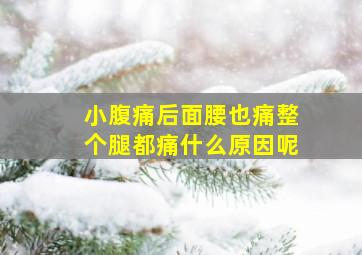 小腹痛后面腰也痛整个腿都痛什么原因呢