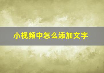 小视频中怎么添加文字