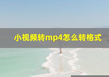 小视频转mp4怎么转格式