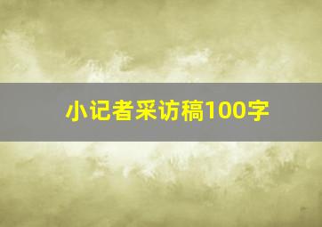 小记者采访稿100字