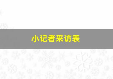 小记者采访表