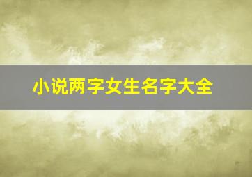 小说两字女生名字大全