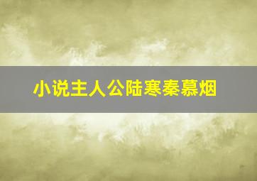 小说主人公陆寒秦慕烟