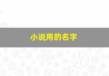 小说用的名字