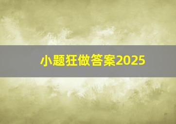 小题狂做答案2025