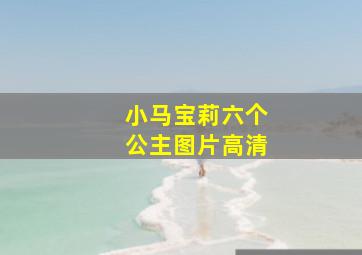 小马宝莉六个公主图片高清