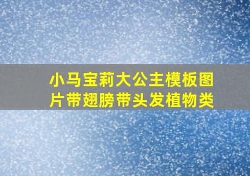 小马宝莉大公主模板图片带翅膀带头发植物类