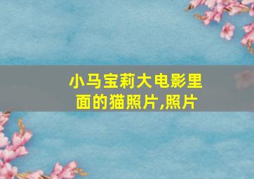 小马宝莉大电影里面的猫照片,照片